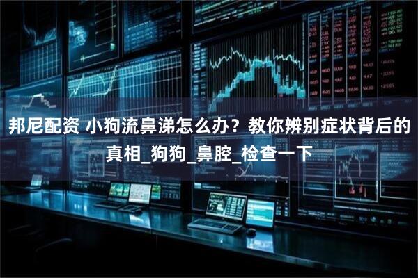 邦尼配资 小狗流鼻涕怎么办？教你辨别症状背后的真相_狗狗_鼻腔_检查一下