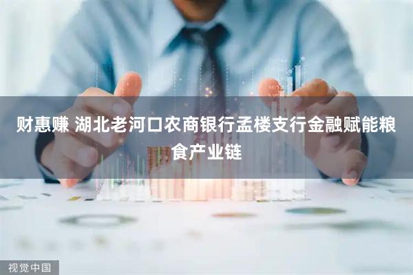 财惠赚 湖北老河口农商银行孟楼支行金融赋能粮食产业链