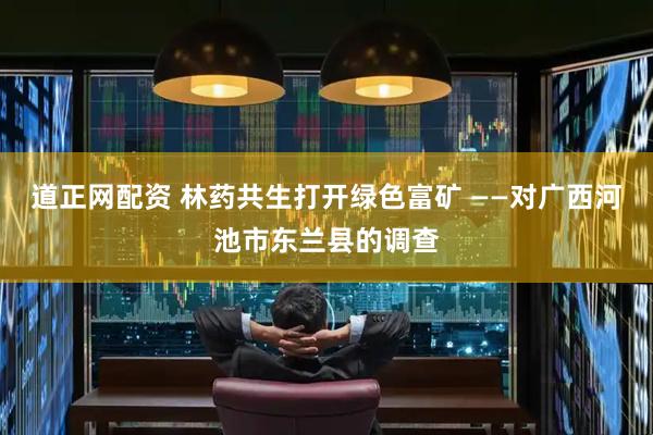 道正网配资 林药共生打开绿色富矿 ——对广西河池市东兰县的调查