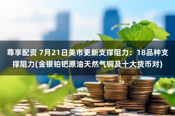 尊享配资 7月21日美市更新支撑阻力：18品种支撑阻力(金银铂钯原油天然气铜及十大货币对)