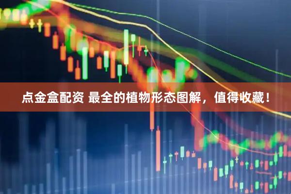 点金盒配资 最全的植物形态图解，值得收藏！